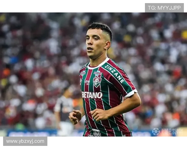 南美解放者杯四强全部产生 巴阿球队独占半决赛席位 南美解放者杯四强全部产生 巴阿球队独占半决赛席位